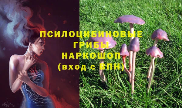 гашик Вязники